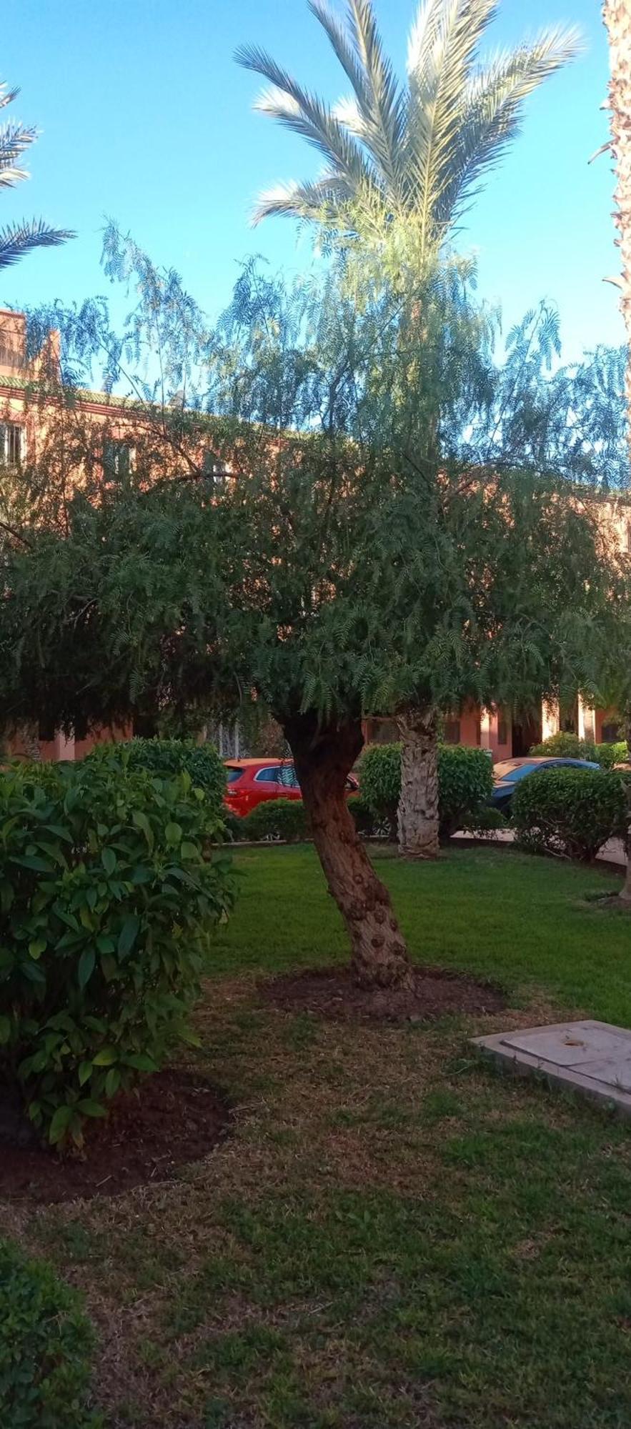 Riad Al-Bushra Marrakesh Exterior foto