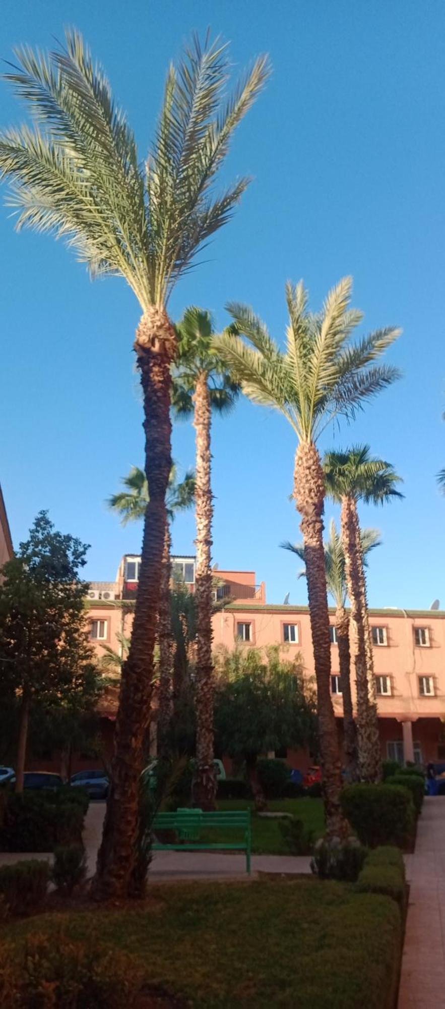 Riad Al-Bushra Marrakesh Exterior foto