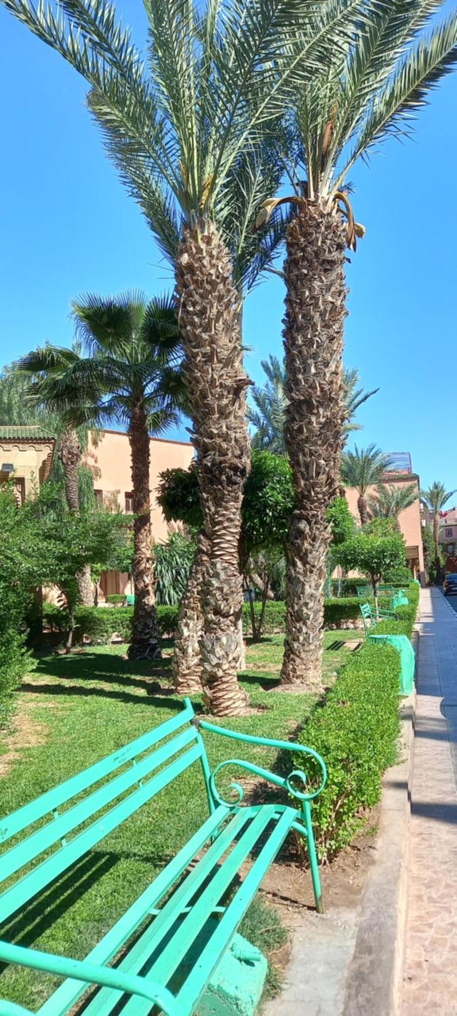 Riad Al-Bushra Marrakesh Exterior foto